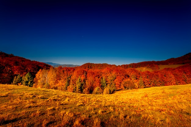 Paysage d'automne coloré