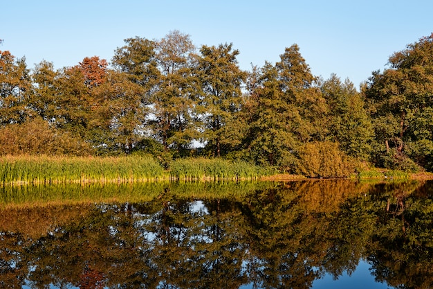 Paysage d'automne. Couleur orange des arbres. Lac avec reflet.