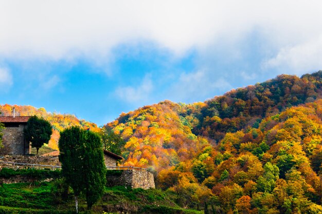 Paysage d'automne dans la forêt de La Fageda de Grevolosa, La Garrotxa.