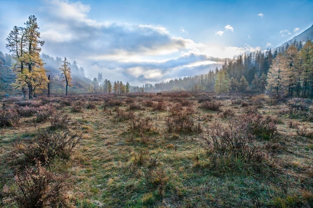 Photo paysage d'automne dans les montagnes de l'altaï sibérie du sud russie