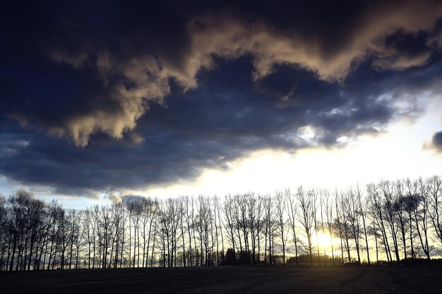 paysage d'automne dramatique champ ciel concept abstrait tristesse