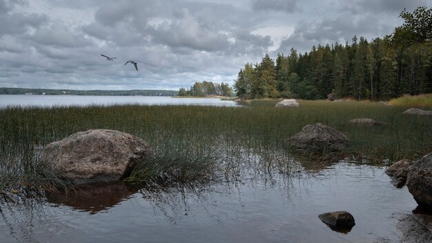 Paysage d'automne du nord, golfe de Finlande avec des îles en pierre près du parc Monrepo dans la ville de Vyborg