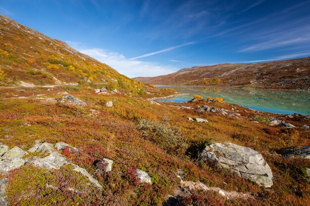 Paysage d'automne ensoleillé Norvège Gamle Strynefjellsvegen