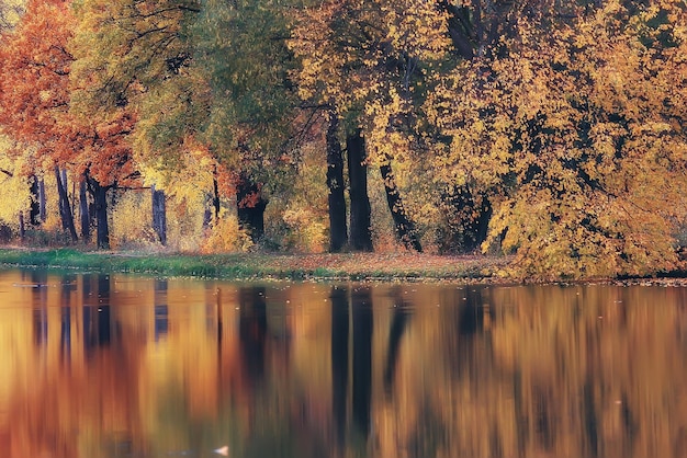 paysage d'automne étang arbres jaunes dans le parc près de l'étang, paysage nature d'octobre automne /