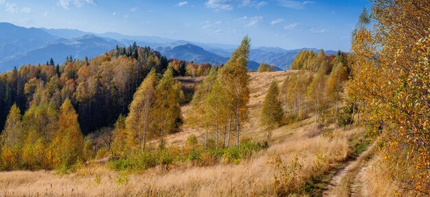 Paysage d'automne féerique