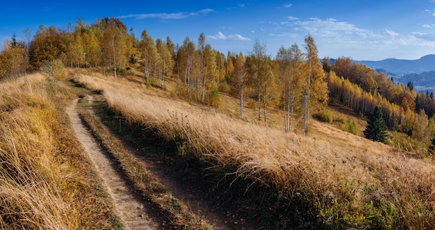 Paysage d'automne féerique