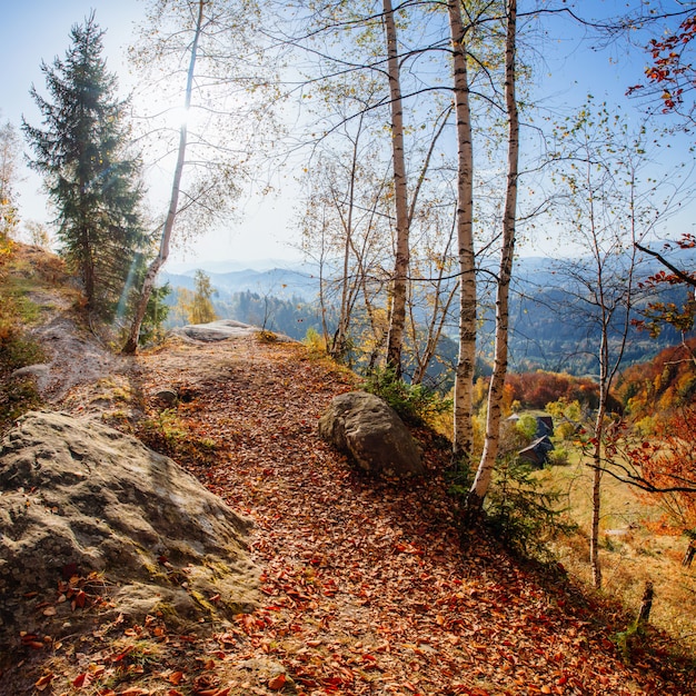 Paysage d'automne féerique