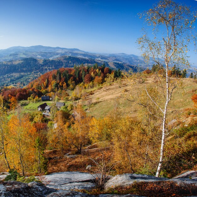 Paysage d'automne féerique