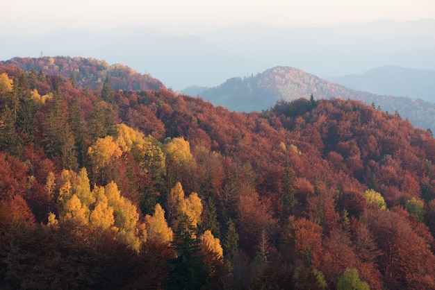 Paysage d'automne avec forêt sur les pentes