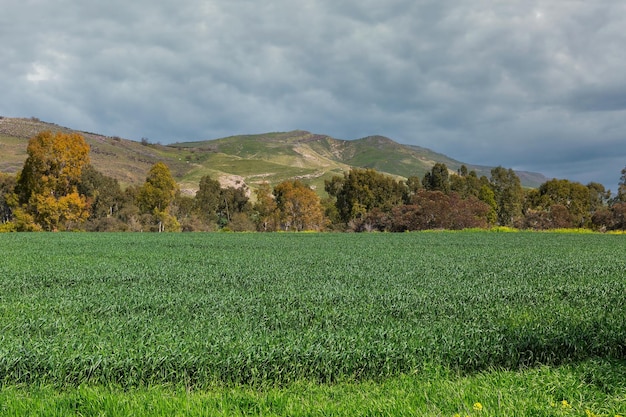 paysage d'automne sur les hauteurs du Golan en Israël