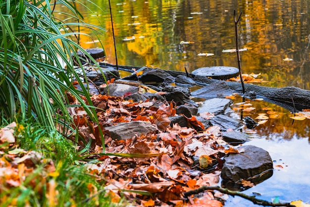 paysage d'automne avec lac et arbres