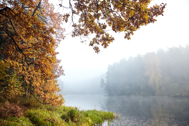 Paysage d'automne avec un lac forestier et des branches de chêne aux feuilles jaunies