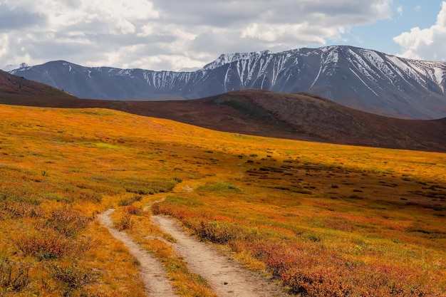 Paysage d'automne lumineux et ensoleillé avec vallée dorée ensoleillée et sentier sinueux à travers le bouleau nain à flanc de montagne sous un ciel spectaculaire Paysage alpin impressionnant avec de belles montagnes au soleil doré