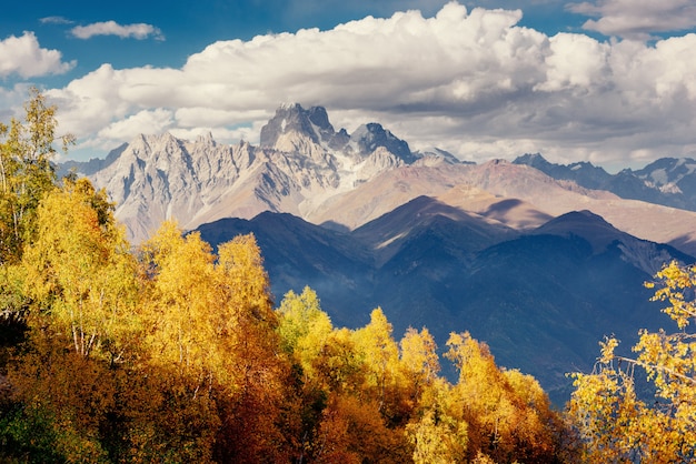 Paysage d'automne magique et sommets enneigés. Vue de t