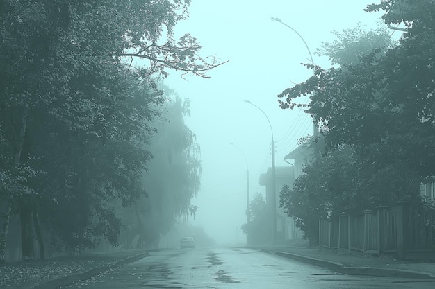 paysage d'automne matin dans le brouillard / ruelle dans le parc de la ville, paysage brumeux dans la ville, arbres dans la ville