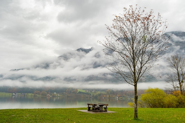 Paysage d'automne de mauvaise humeur avec arbre nu et banc solitaire sur la rive du lac de montagne.