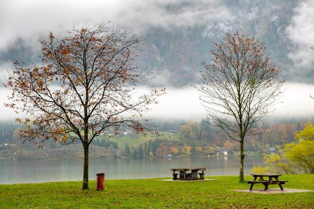 Paysage d'automne de mauvaise humeur avec des arbres nus et des bancs au bord du lac de montagne.