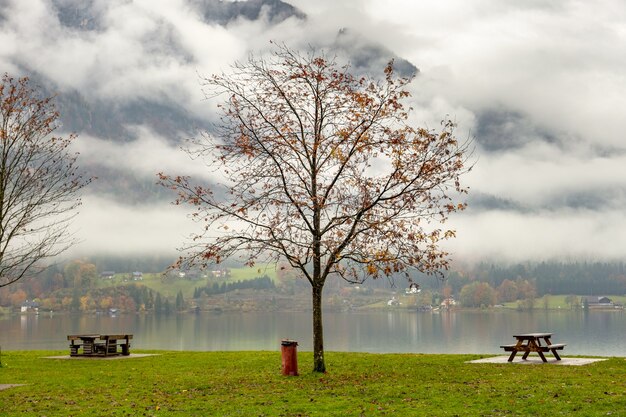 Paysage d'automne de mauvaise humeur avec des arbres nus et des bancs au bord du lac de montagne.