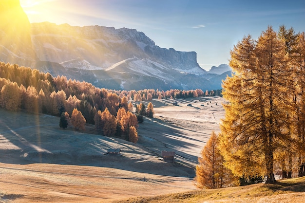 Paysage d'automne avec montagne à Alpe di Siusi