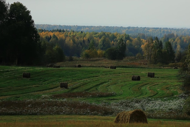 paysage d'automne nature champ et ciel