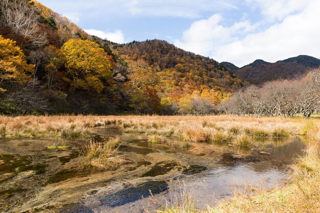 Le paysage d'automne à Nikko