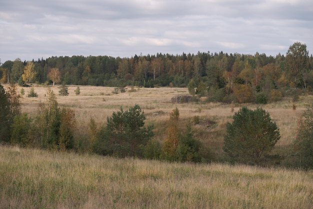 Paysage d'automne pittoresque par temps nuageux