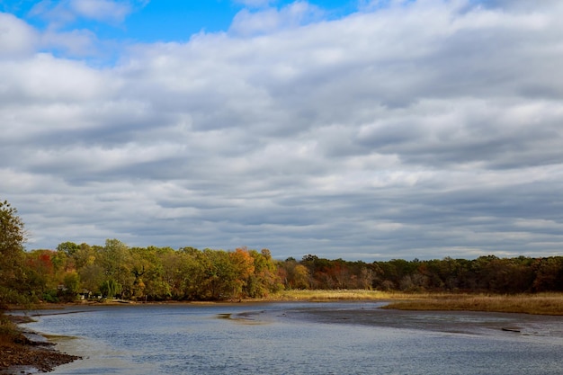 Paysage d'automne de rivière et d'arbres sans feuilles ciel bleu et nuages par une journée ensoleillée