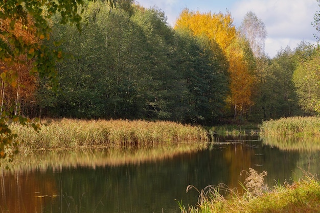 Paysage d'automne avec rivière au soleil