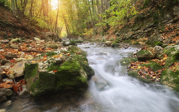 Paysage d'automne Rivière dans le canyon