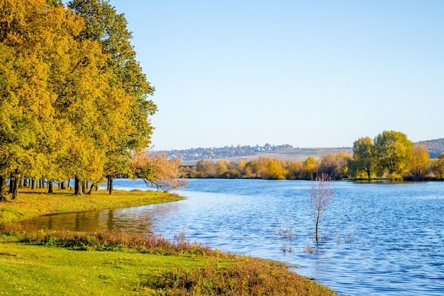 Paysage d'automne avec une rivière et une forêt par temps ensoleillé