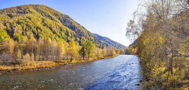 Paysage d'automne avec une rivière de montagne