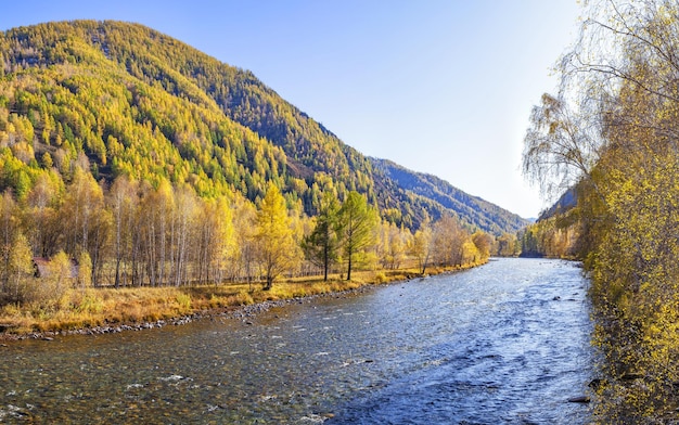 Paysage d'automne avec une rivière de montagne