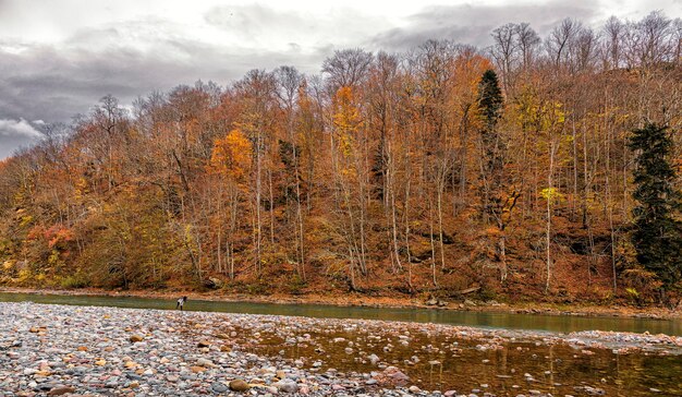 Paysage d'automne d'une rivière, une rive est rocheuse, l'autre est envahie par la forêt