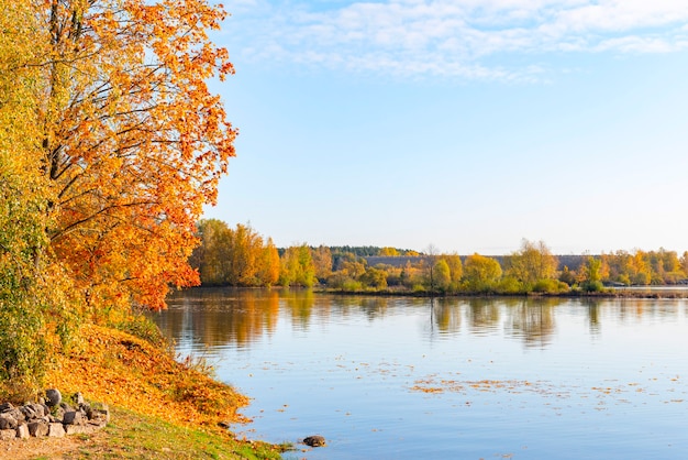 Paysage d'automne avec une rivière