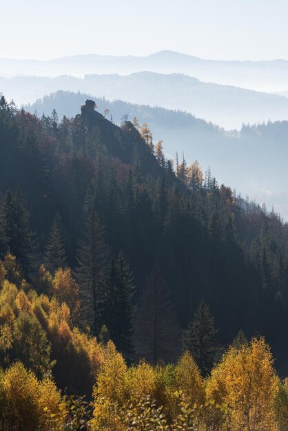 Paysage d'automne avec un rocher dans la forêt