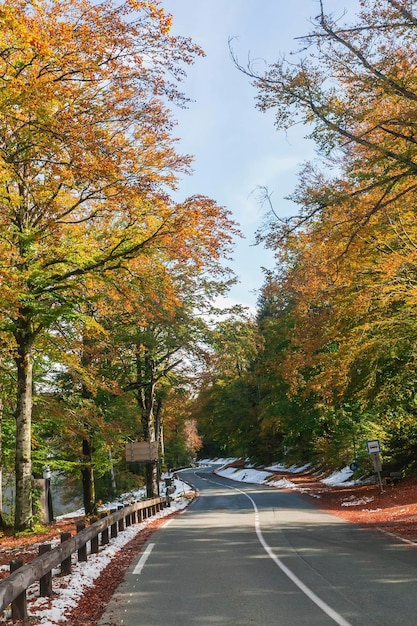Paysage d'automne. La route dans la forêt en Slovénie. Neige au bord de la route