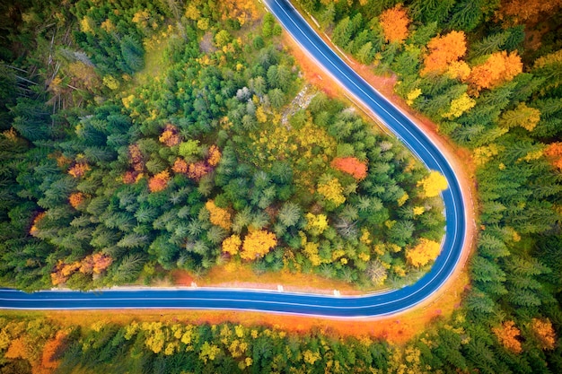 Paysage d'automne route pavée dans la forêt de montagne