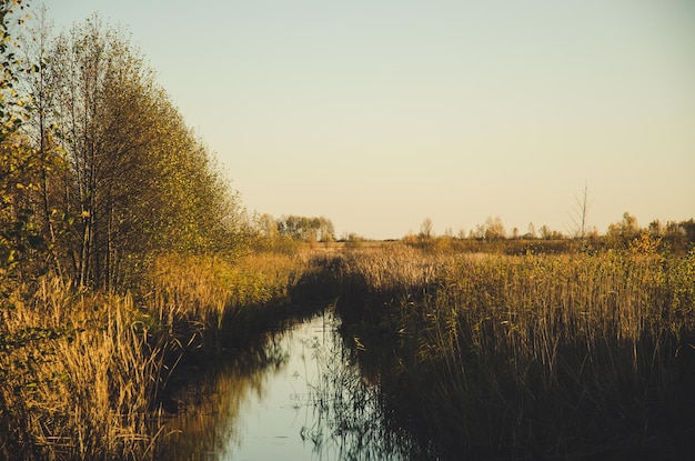 Paysage d'automne rural