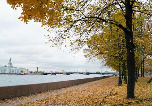 Paysage d'automne, Saint-Pétersbourg.