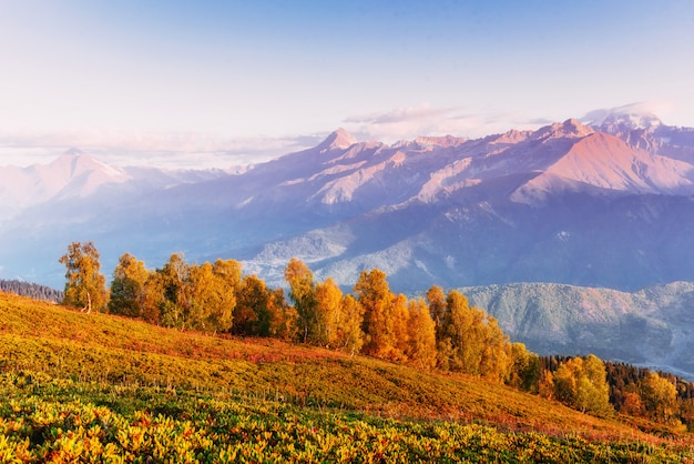 Paysage d'automne et sommets enneigés. Vue sur le mou