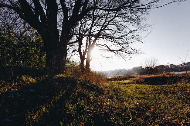 Paysage d'automne tôt le matin ensoleillé.