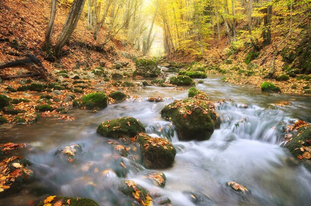 Paysage d'automne.