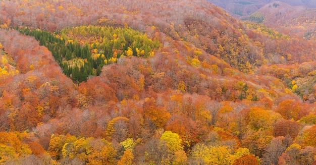 Paysage d&#39;automne