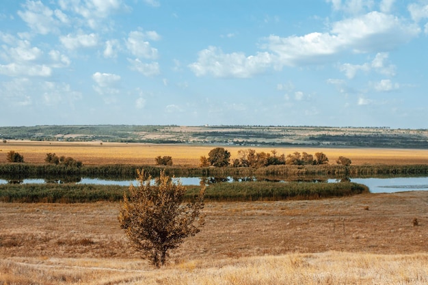 Paysage d'automne