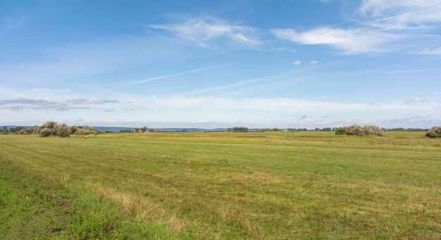 Photo le paysage autour d'illmitz en autriche