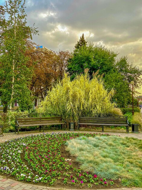 Paysage avec un banc dans le parc