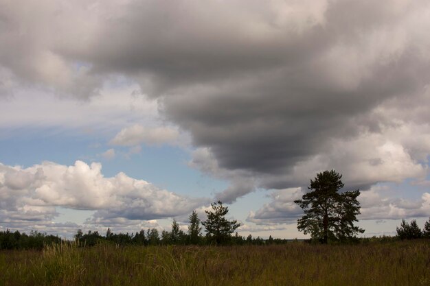 Paysage avec un beau ciel prémenaçant dramatique majestueux Ciel nuageux