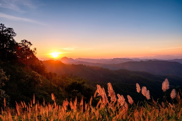 Paysage de beau coucher de soleil dans la montagne