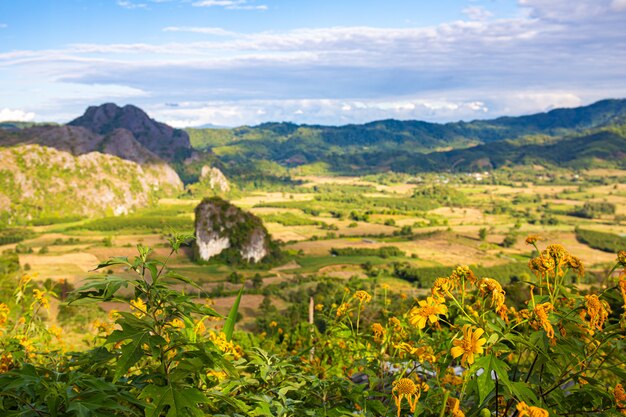 Paysage. Beau lever de soleil à Phu Lang Ka, Phayao en Thaïlande.