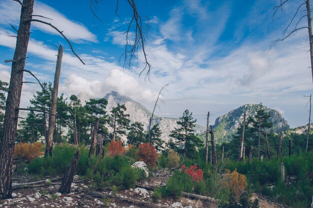 Paysage de beauté dans les montagnes en Turquie